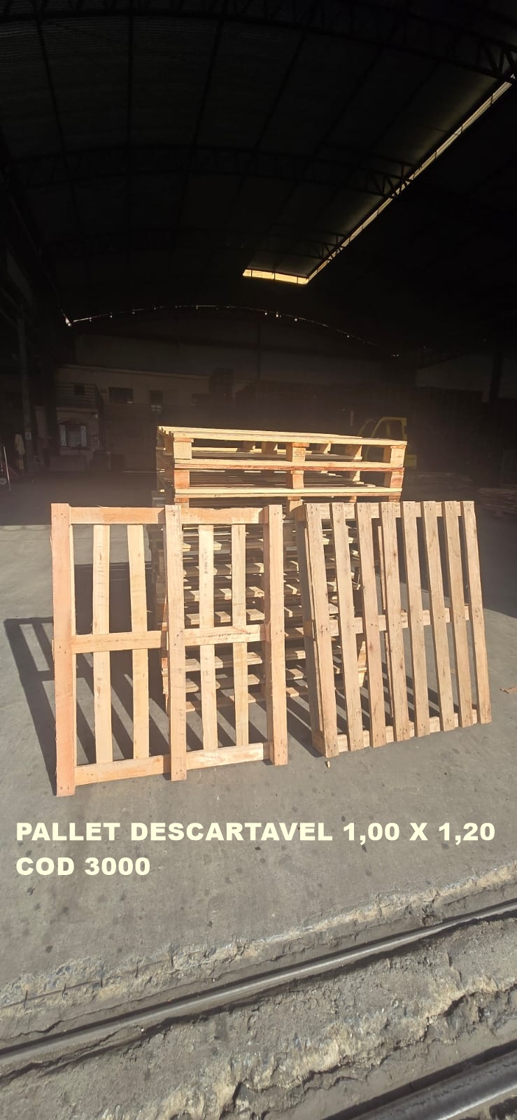 PALLET DESCARTAVEL PADRÃO 1,00 X 1,20 — foto real do catálogo R Ximenes em Contagem MG