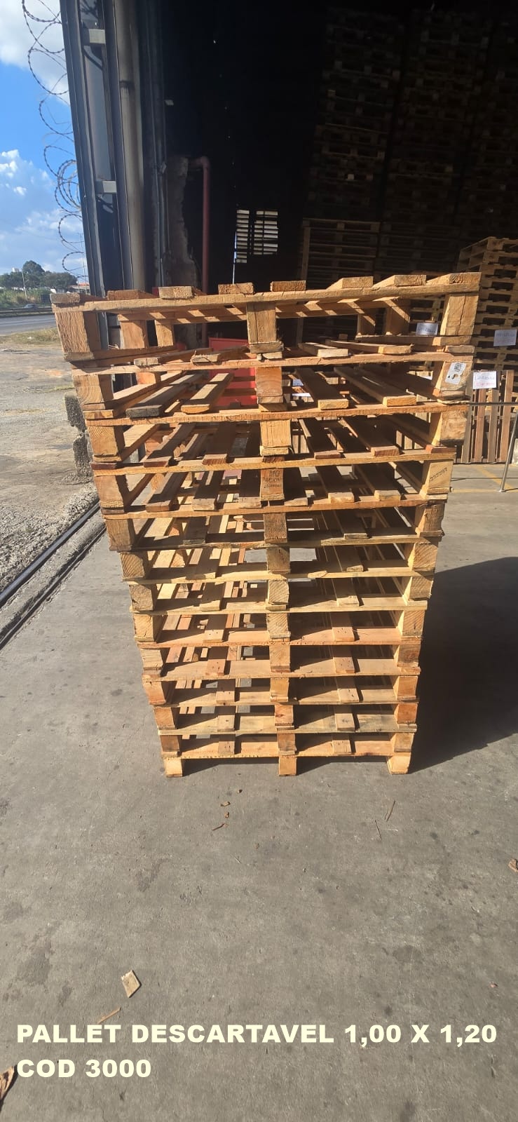 PALLET DESCARTAVEL PADRÃO 1,00 X 1,20 — foto real da R Ximenes em Contagem MG — vista 5
