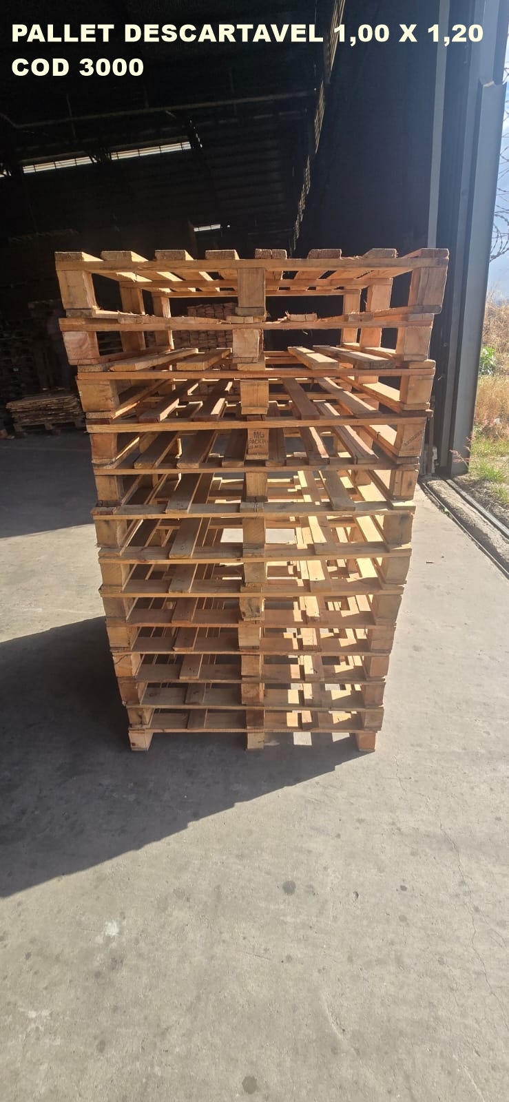 PALLET DESCARTAVEL PADRÃO 1,00 X 1,20 — foto real da R Ximenes em Contagem MG — vista 6