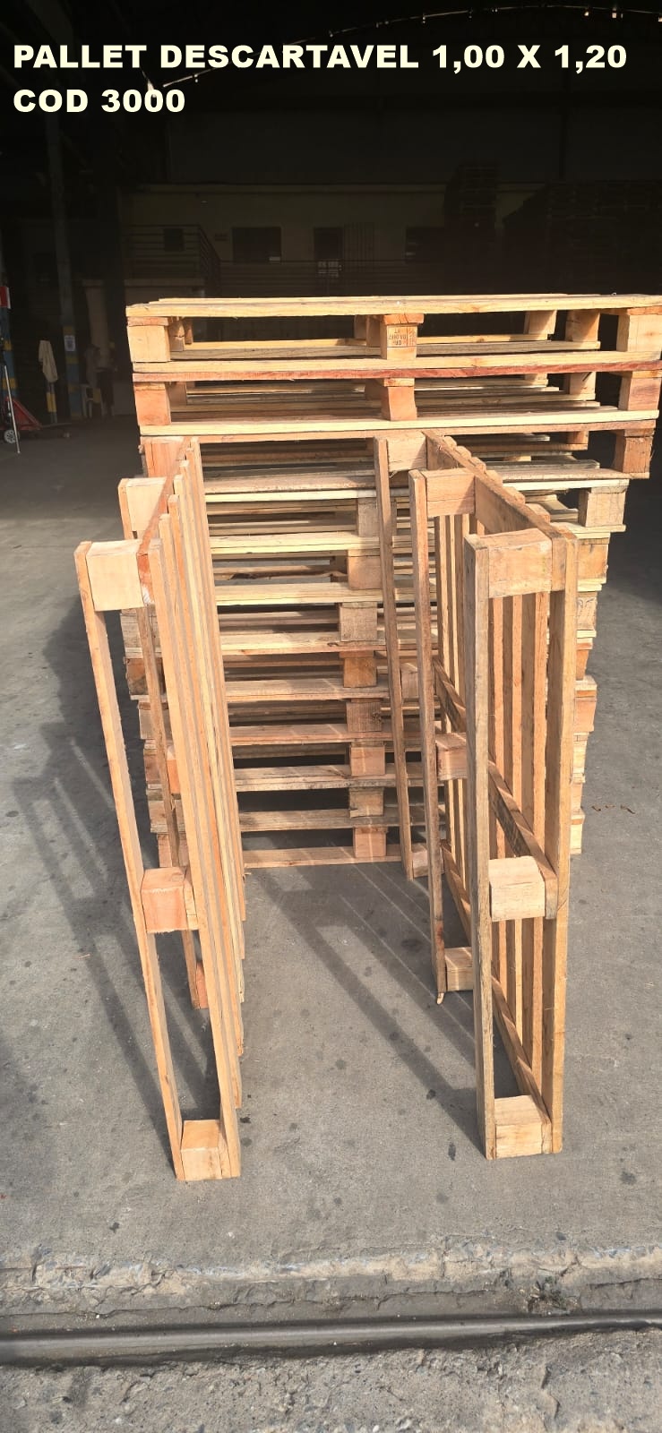 PALLET DESCARTAVEL PADRÃO 1,00 X 1,20 — foto real da R Ximenes em Contagem MG — vista 4
