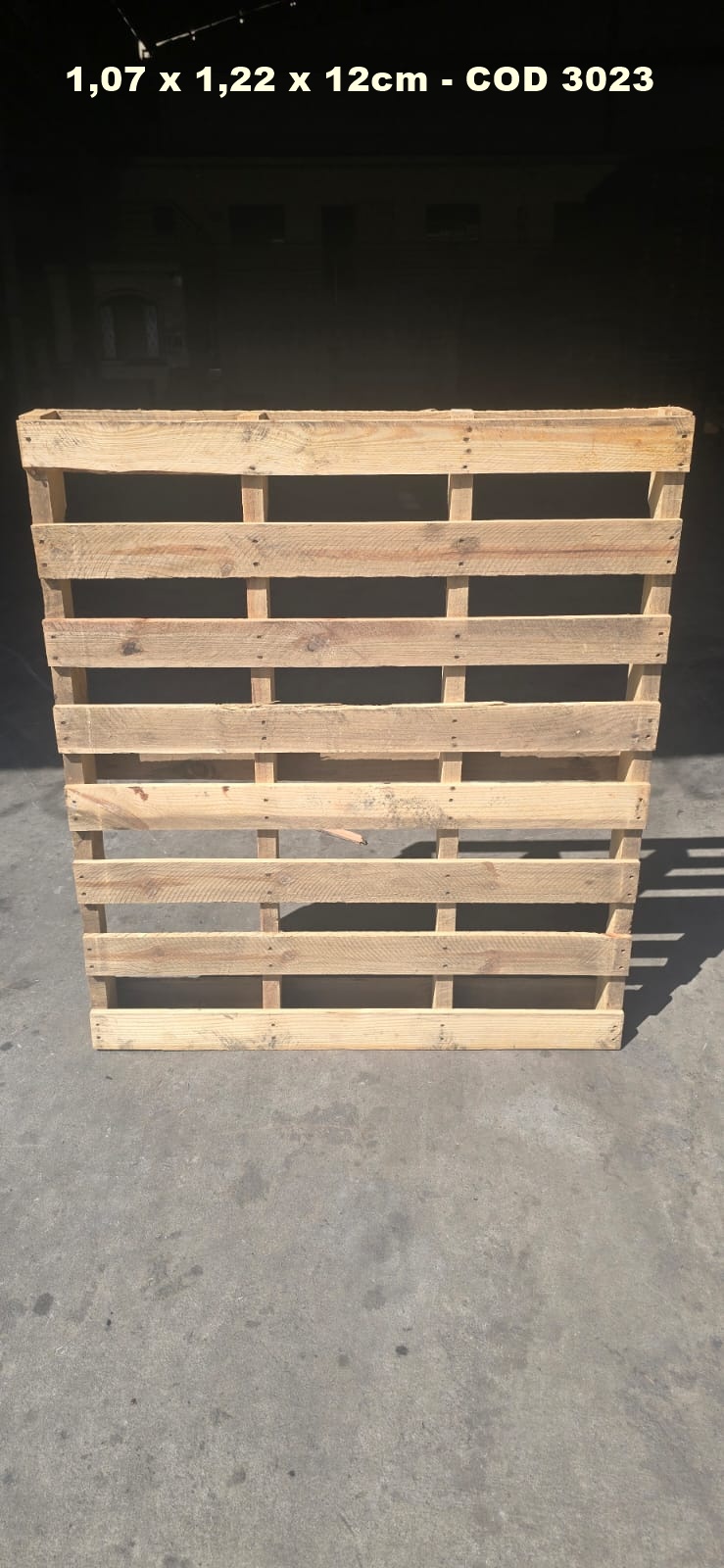 PALLET DESCARTAVEL 1,07 x 1,22 — foto real do catálogo R Ximenes em Contagem MG